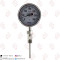 ترمومتر تاشو | گیج دما تاشو صفحه 10 استیل WIKA S5550 0-300 c ویکا